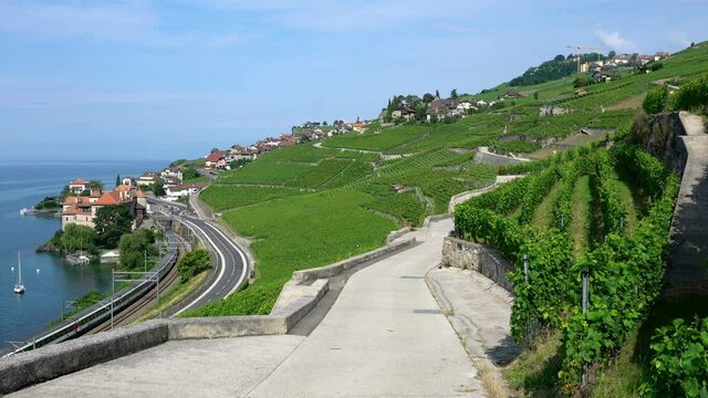 Hiking path in middle of Lavaux terraced vineyards and Rivaz village on Lake Geneva side in Lavaux Vaud Switzerland