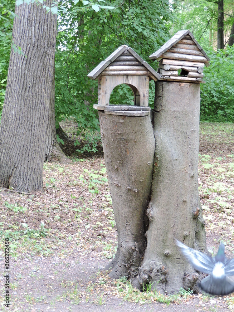 Poster Bird houses in the park, Saint-Petersburg