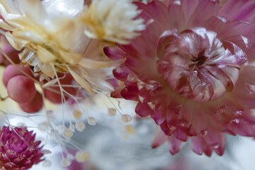 バーバリウムの花 オシャレ