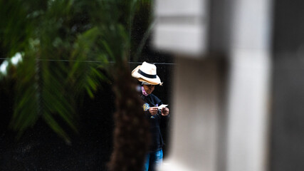 blue tit on a branch