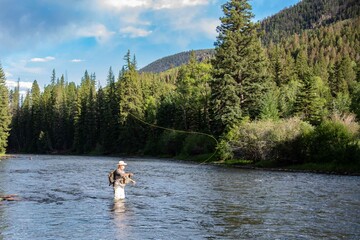 A man fly fishing in the mountains on a wild trout stream.