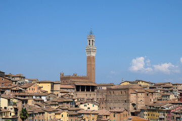 Fototapeta na wymiar Veduta di Siena con la Torre del Mangia