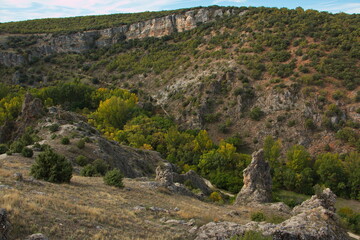 Fototapeta na wymiar Canyon of Rio Dulce in park Barranco del Rio Dulce, Guadalajara, Spain 