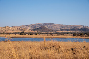 A lake in the african winter wilderness.