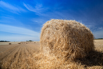 Round Bales at the field