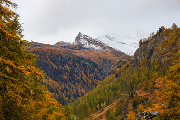 View of landscape snow alp mountain in autumn at swiss