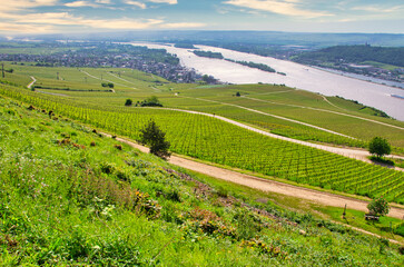 Fototapeta na wymiar Panorama Blick auf Rüdesheim am Rhein Deutschland 