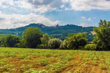 A view across the fields towards the village of  Collazzone, Umbria, Italy in summer