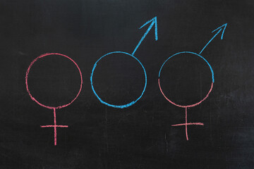 Fototapeta na wymiar Gender symbols of Venus and Mars and the symbol of gender equality on a chalkboard. Male and female characters.