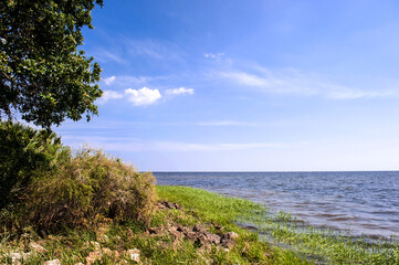 Fototapeta na wymiar Beautiful sea shore seascape St mark state park,Florida.