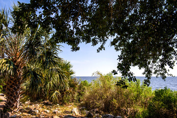 Beautiful sea shore seascape St mark state park,Florida.