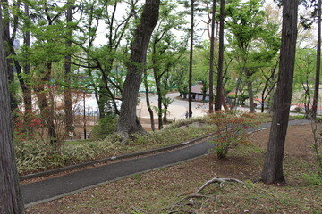 公園