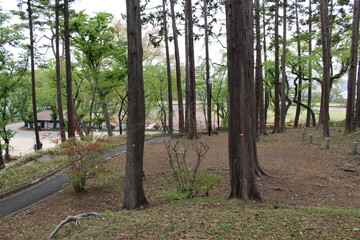 公園