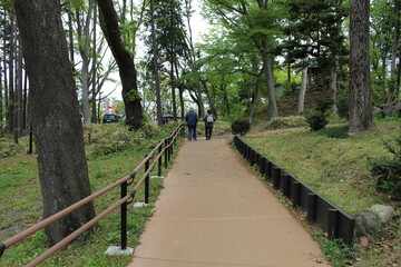 Fototapeta premium 公園