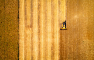 Aerial view of combine harvester harvesting wheat. Beautiful wheat field.