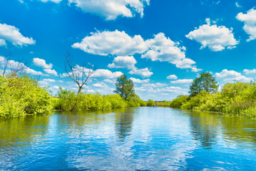 Fototapeta na wymiar River landscape and green forest with trees blue water clouds on sky