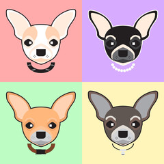 Dog seamless pattern, Chihuahua on colourful background, Dog icons. 