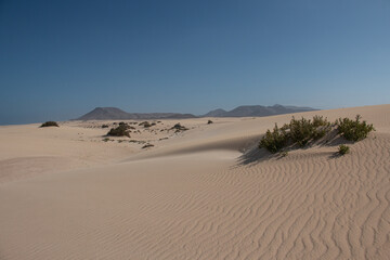 The Sand Dunes of Corralejo. Desert area near dune beach in Fuerteventura. 