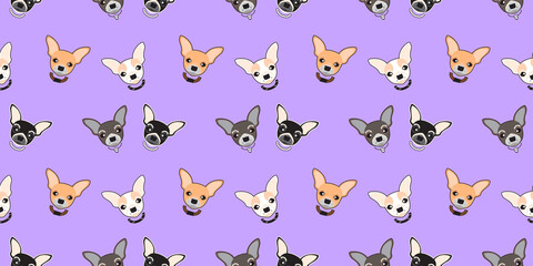 Dog seamless pattern, Chihuahua on purple background, Dog icons. 