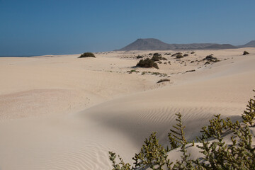 The Sand Dunes of Corralejo. Desert area near dune beach in Fuerteventura.