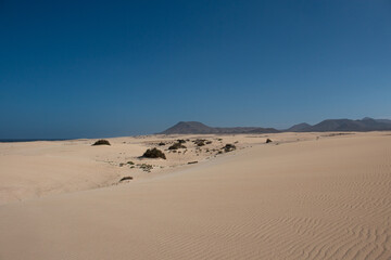 Fototapeta na wymiar The Sand Dunes of Corralejo. Desert area near dune beach in Fuerteventura. 