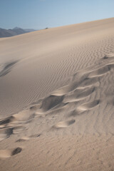 Obraz premium The Sand Dunes of Corralejo. Desert area near dune beach in Fuerteventura. 
