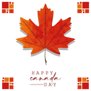 Happy Canada day card with maple leaf - Vector