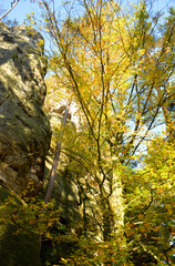 Beautiful autumn landscape sand stone rocks and trees in sunlight