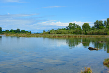 The wetlands of Isola Della Cona in Friuli-Venezia Giulia, north east Italy 