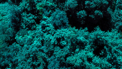 Detail of underwater useful for textures and patterns.