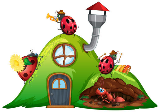 Scene with ladybugs and ant on the house