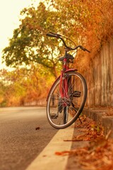 Fototapeta premium bicycle diares