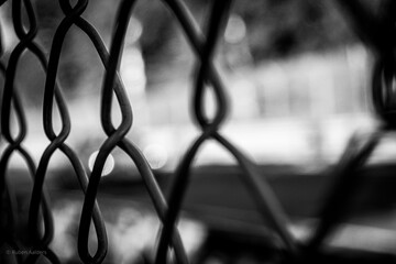 barbed wire fence