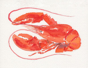 Watercolor hand drawn illustration with red lobster. Hand drawn painting for food hall, menu, restaurant, cooking class poster. Boiled/steamed luxurious seafood. Bright cute nature sketch on paper.