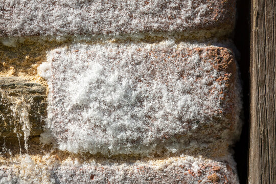 Detail of Saltpeter, Saltpetre or Potassium nitrate on a brick wall.