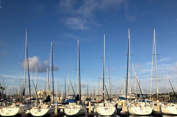 Sailboats in San Diego