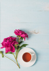 Red pink peonies tea cup on a blue wooden background. Vertical frame copy space for text design. Top view