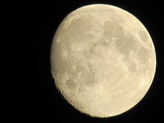 full moon in the night