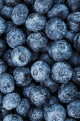 Ripe blueberries in the form of a full-screen texture with drops of dew.