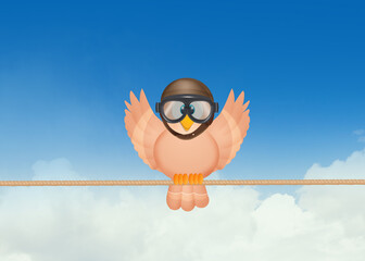 illustration of aviator bird