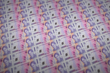 50000 Romanian leu bills printed in illegal money production conveyor. Collage of many fake bills....