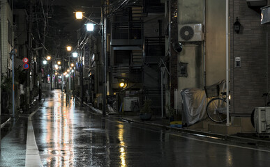 Obraz na płótnie Canvas Rain on empty streetsNight view of an empty rain-soaked street illuminated by streetlamps in a suburban part of western Tokyo