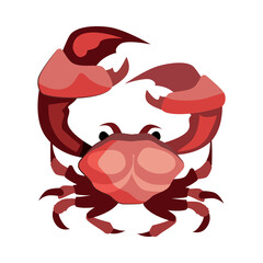 Red crab illustration. Mollusc, ocean, seafood. Nature concept. illustration can be used for topics like sea animals, sea, restaurant, eating