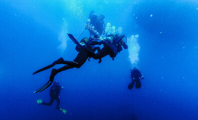 Scubadiving. Scuba divers diving at the shipwreck.