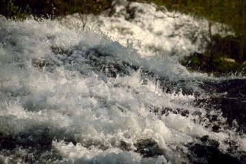 Fototapeta na wymiar water flowing in the forest