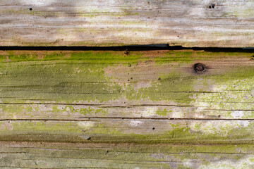 Weathered, distressed boards of an old barn with green moss, cracks and a wood knot close up ~WEATHERED~