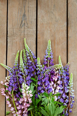 Vertical background with multicolored lupins