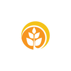 Wheat Logo Template vector symbol