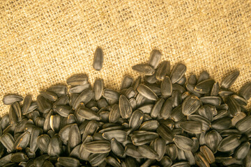 Fried sunflower seeds in bulk on a background of coarse-textured burlap. Close up.