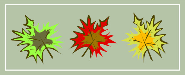 Fototapeta na wymiar Fall, autumn. Mushrooms. Leaves. Maple. Oak. Pumpkin. Rowan. An Apple. September. October. November. Set of autumn vector isolated images.